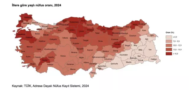 Türkiye'de Yaşlı Nüfus Verileri